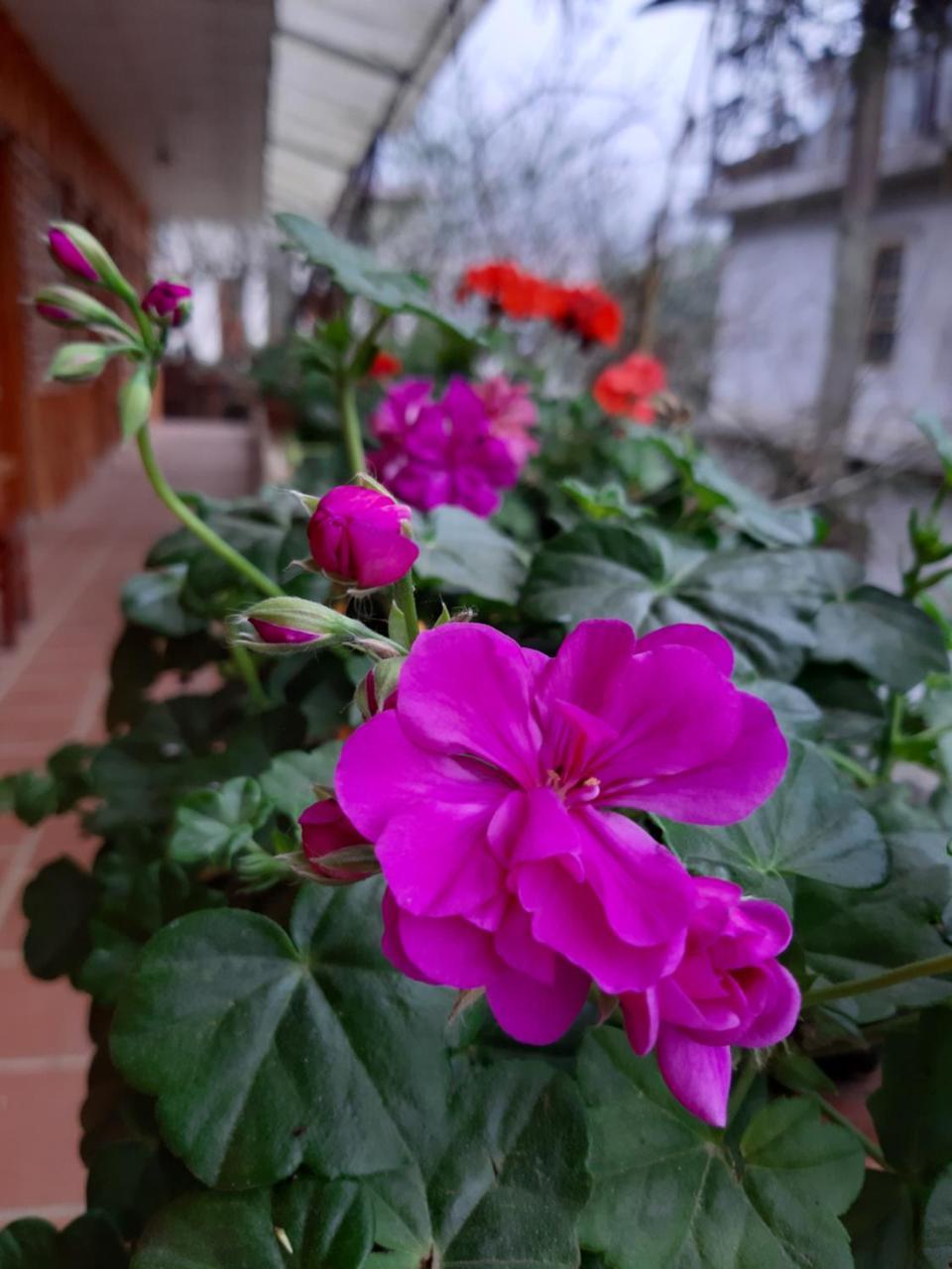 Dang Khoa Garden Inn Homestay Шапа Экстерьер фото