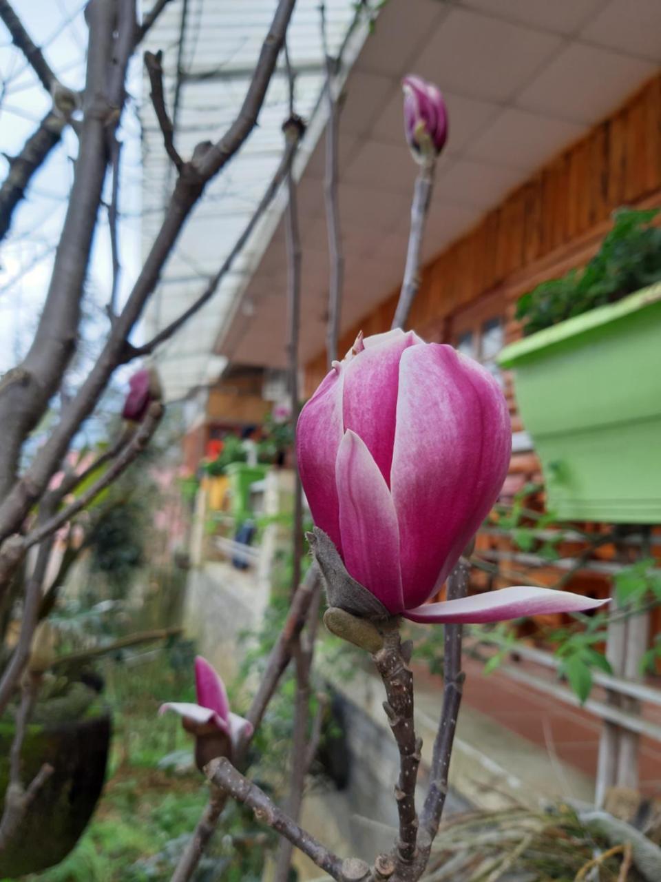 Dang Khoa Garden Inn Homestay Шапа Экстерьер фото
