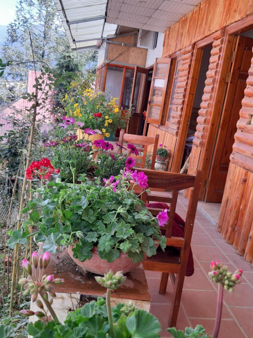 Dang Khoa Garden Inn Homestay Шапа Экстерьер фото